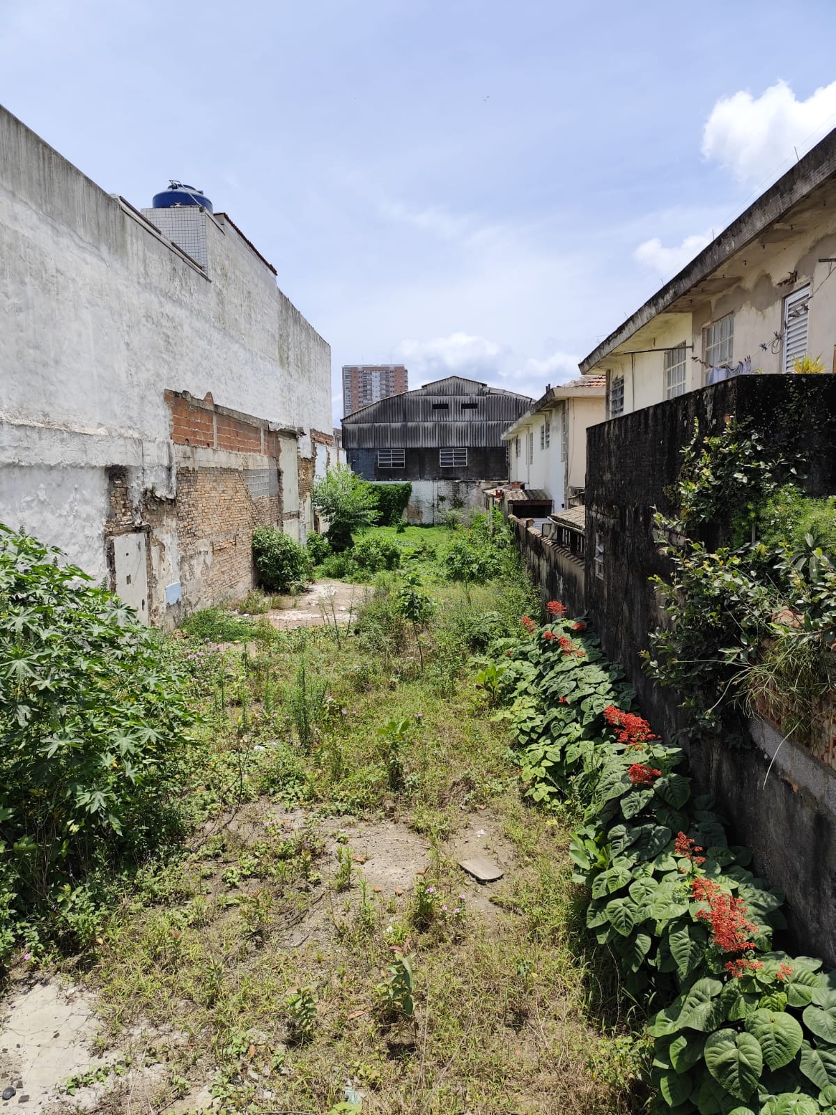 Foto do Imóvel - Terreno  7,5 x 50m - 375 m² no Macuco em Santos/SP