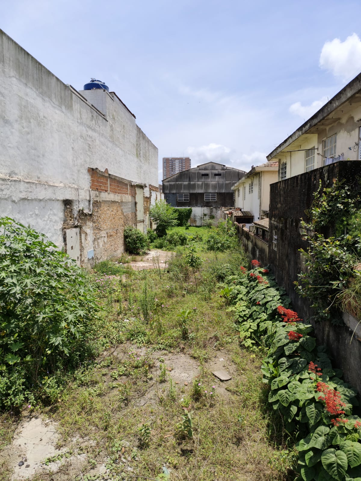 Foto do Imóvel - Terreno  7,5 x 50m - 375 m² no Macuco em Santos/SP