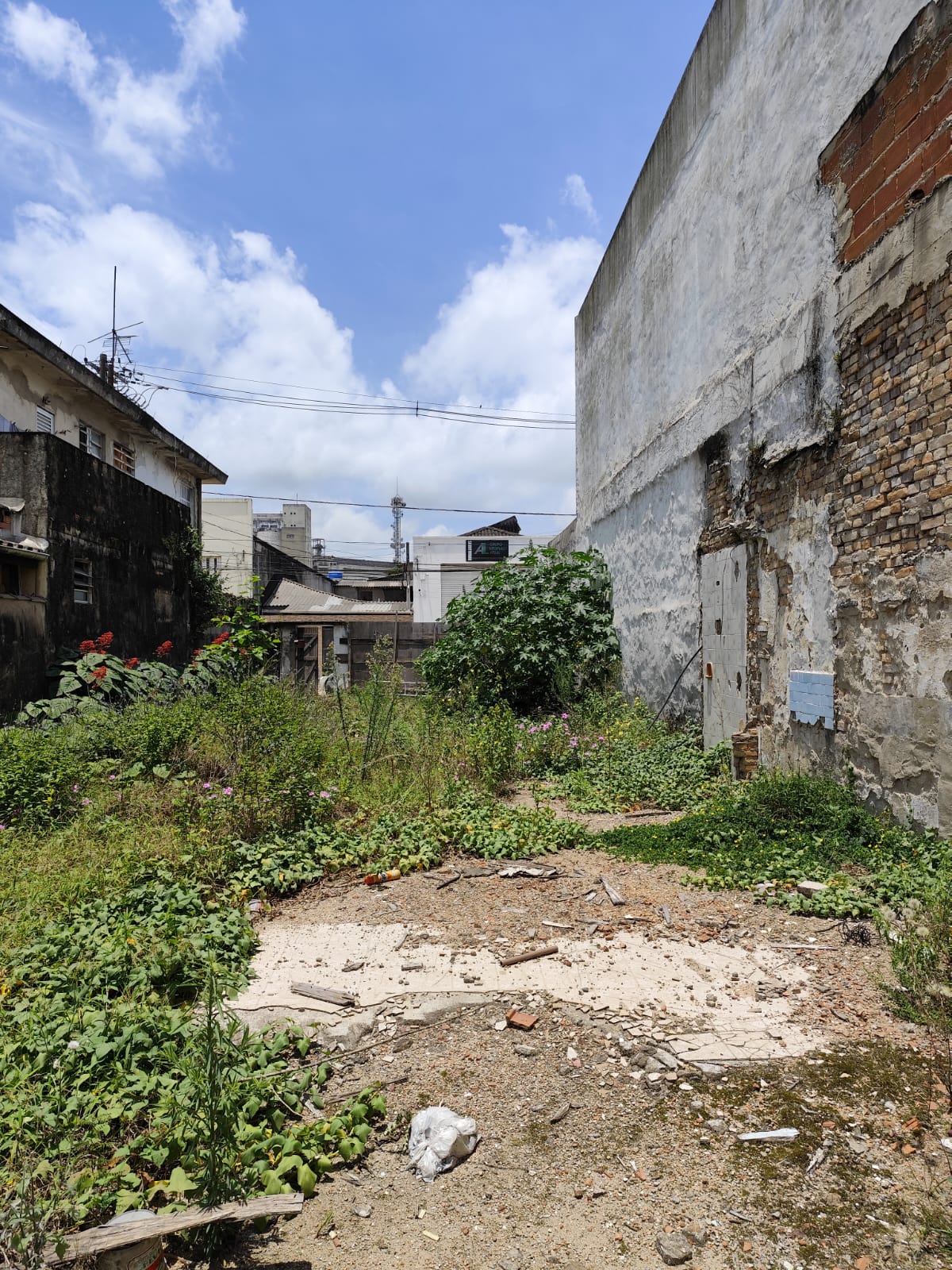 Foto do Imóvel - Terreno  7,5 x 50m - 375 m² no Macuco em Santos/SP