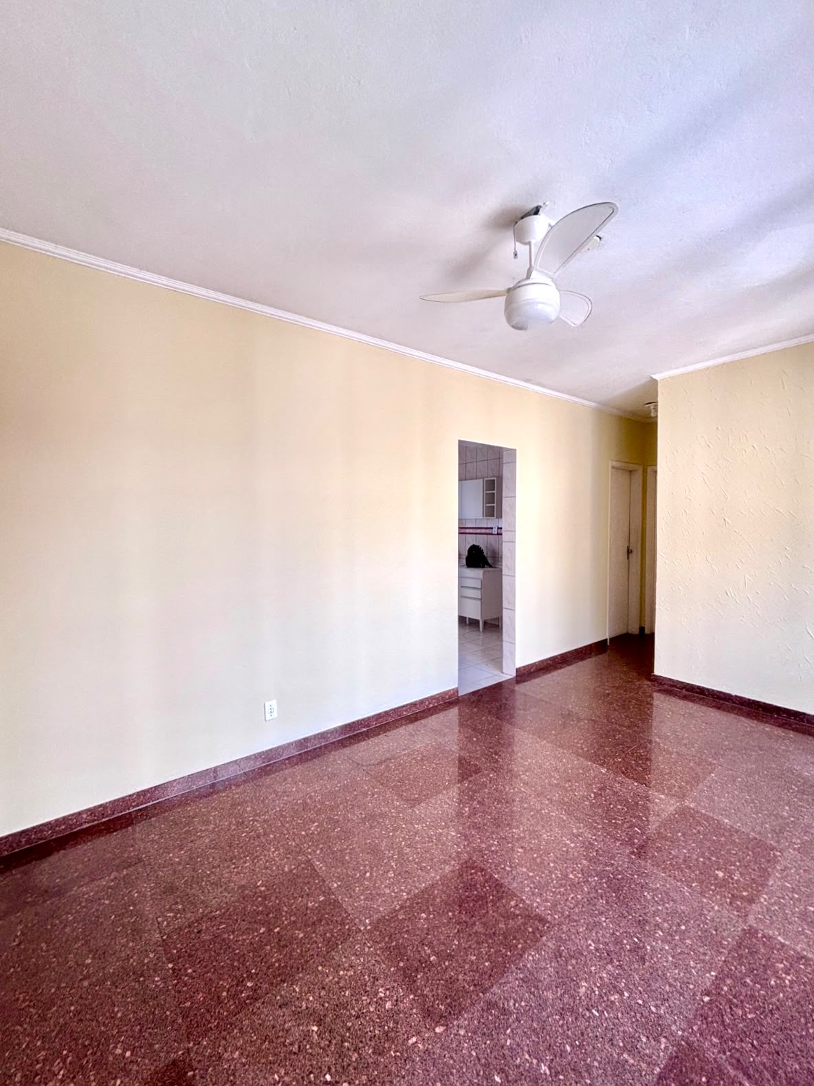 Foto do Imóvel - LINDO APTO. 02 DORMS NO EMBARÉ EM SANTOS/SP