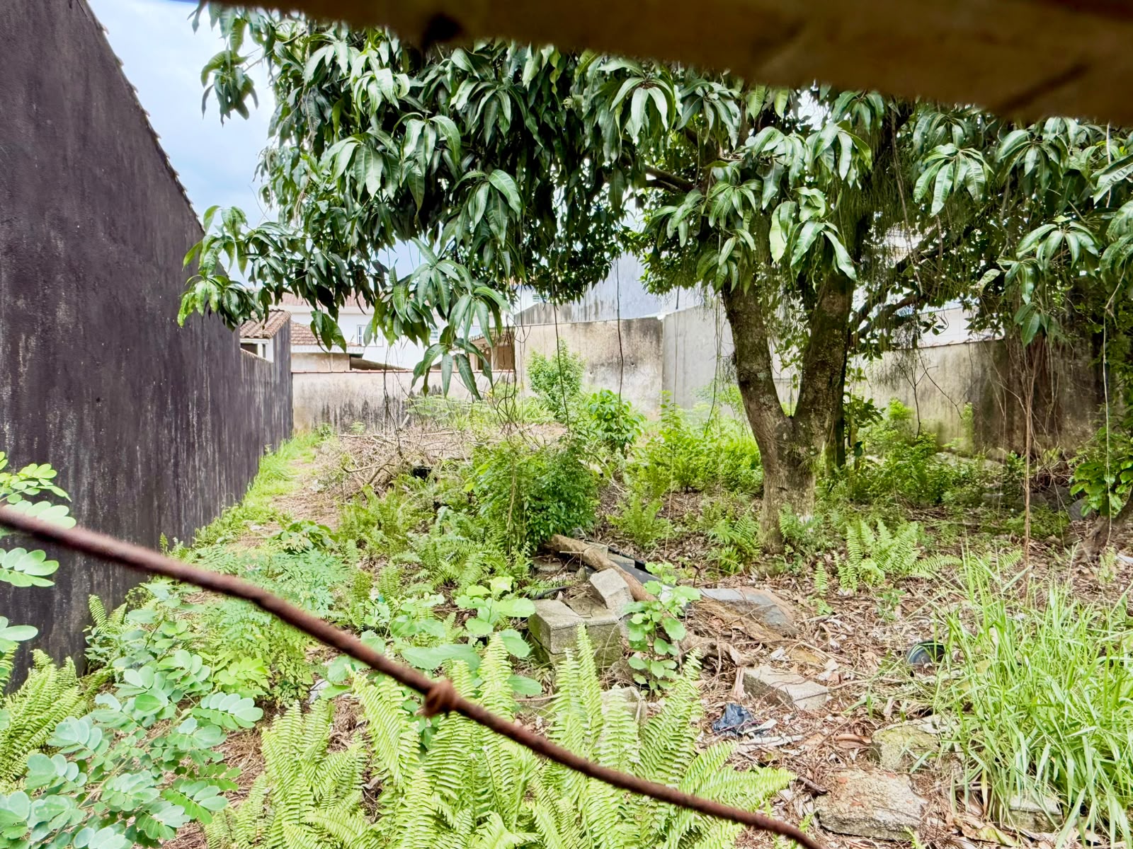 Foto do Imóvel - Terreno a Venda na Santa Maria Zona Noroeste em Santos/SP