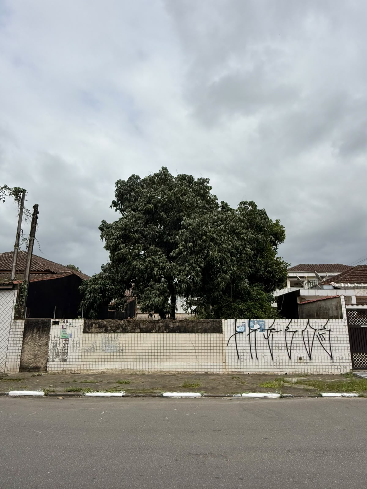 Foto do Imóvel - Terreno a Venda na Santa Maria Zona Noroeste em Santos/SP